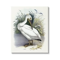 СТУПЕЛ ИНДУСТРИИ Бела пеликанска птици кои прегази трева галерија за сликање на брегот на брегот на брегот завиткани од платно,